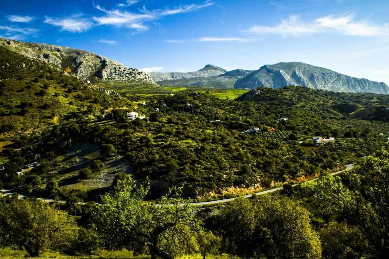 Casa Rural El Chaparro El Chorro Eksteriør billede